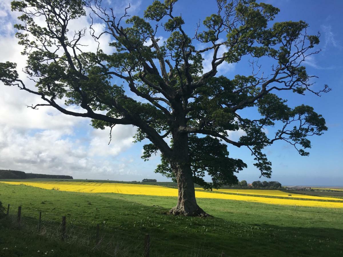 Buckton Farmhouse 贝尔福德 外观 照片