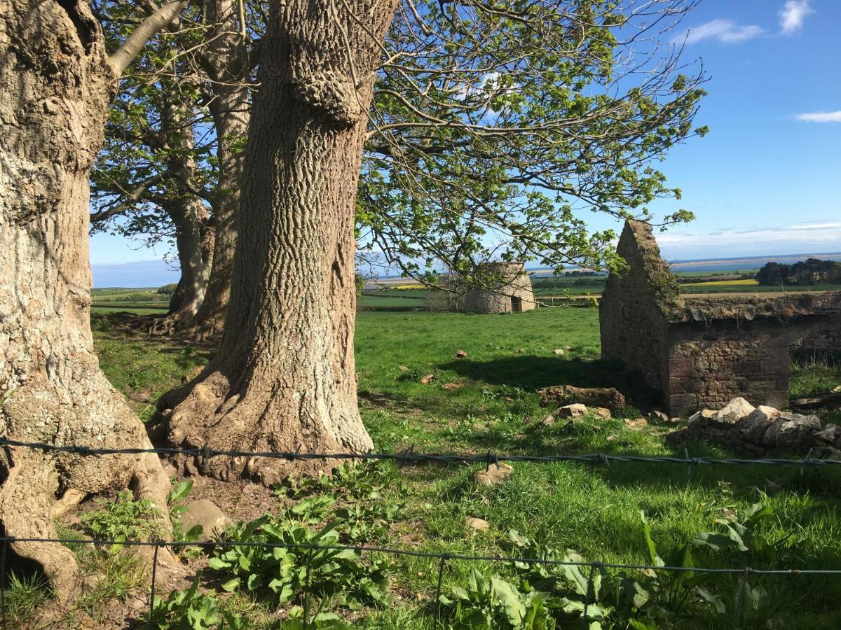 Buckton Farmhouse 贝尔福德 外观 照片